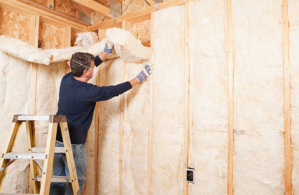 Reliable Hoover, AL Insulation Removal & Installation Solutions